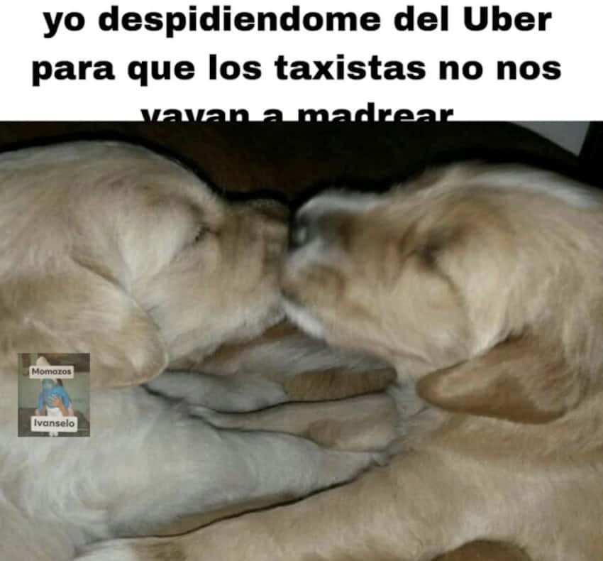 Mexican taxi meme